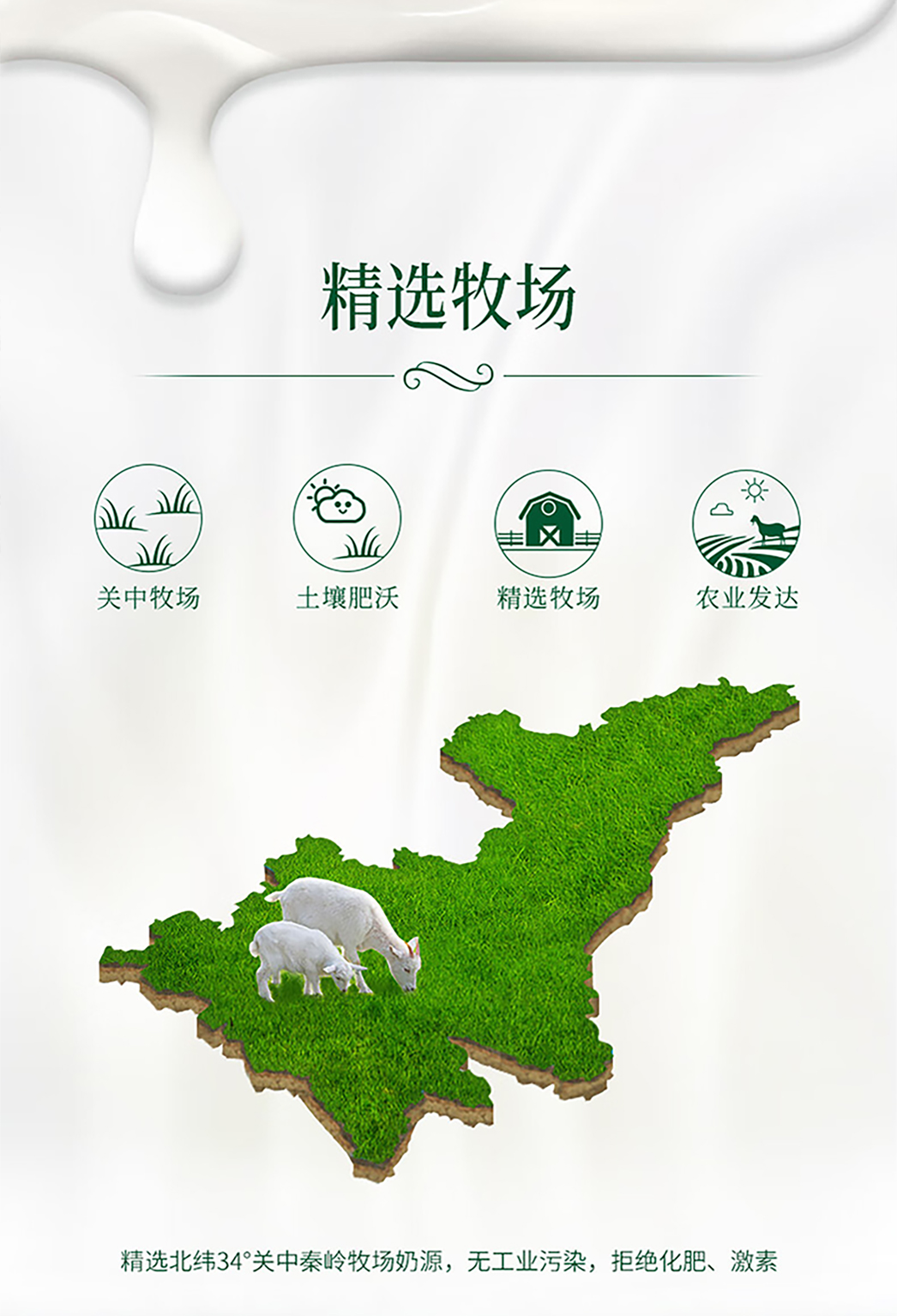 鄉(xiāng)村羊詳情頁_02.jpg