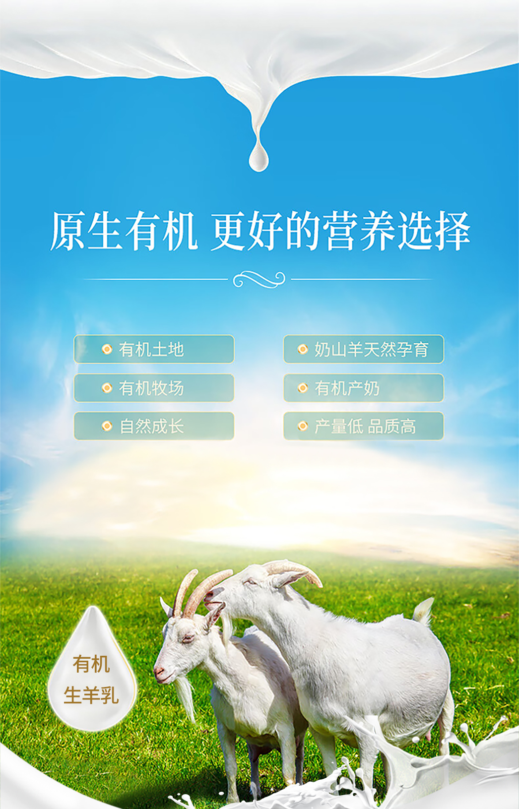鄉(xiāng)村羊詳情頁_03.jpg